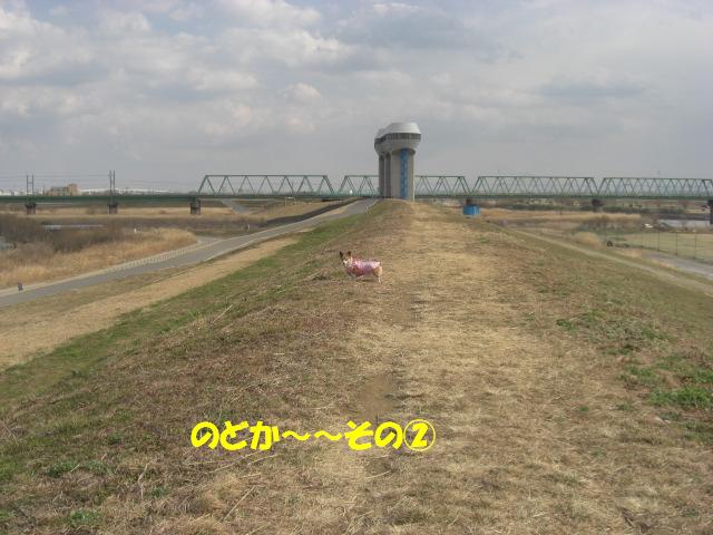 f0182121_1052766.jpg