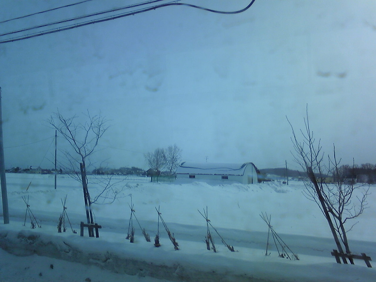 f0198228_1064816.jpg