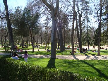 e0120938_558583.jpg