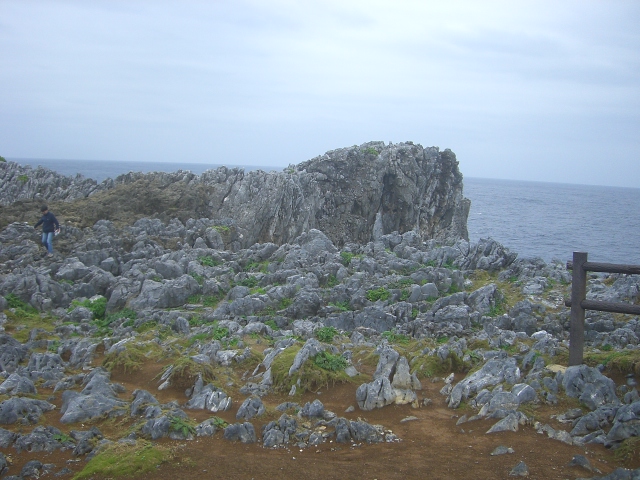 e0025240_22321569.jpg