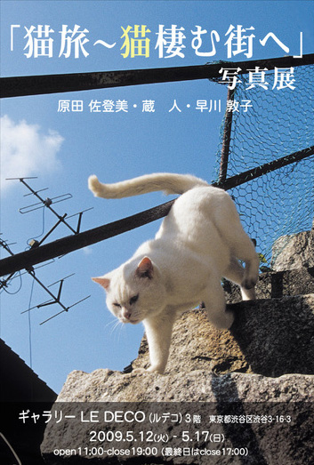 「東京 猫語り」～誰も知らない 猫たちの東京～_c0194541_1211637.jpg