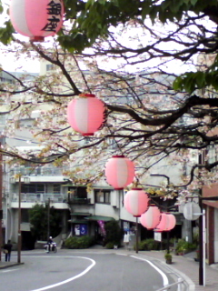 090312 親子旅in伊豆②_f0164842_1113042.jpg