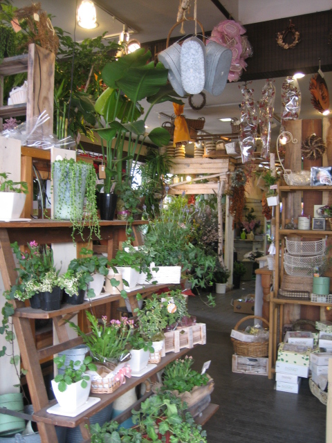 花屋の二階 きらきらひかる 花屋の二階 きらきらひかる