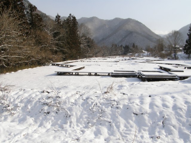 d0134473_920662.jpg