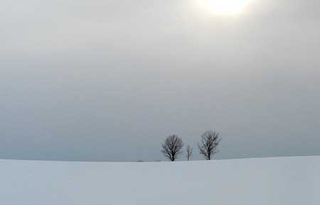 f0083977_63796.jpg