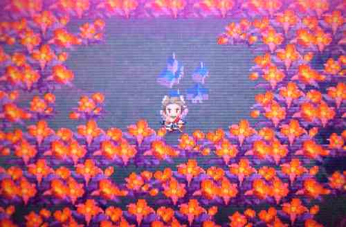 Nds セブンスドラゴン プレイ日記 6匹目 そして３年後編 Beautiful Ones Blog