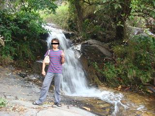 d0065480_22398.jpg