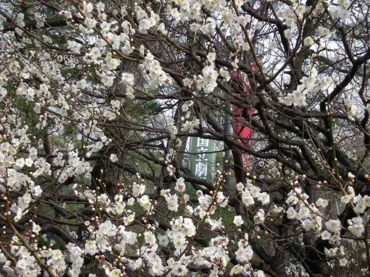 東京散策・文楽・・おのぼり日記_b0163381_1145670.jpg