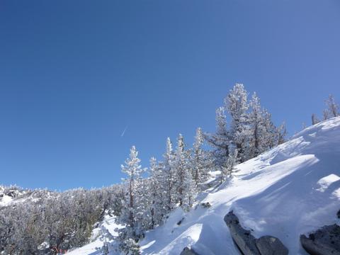 スキーに連れてって！！～Lake Tahoe（レイクタホ）～_f0181488_6275142.jpg