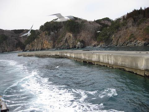 e0147297_0113418.jpg