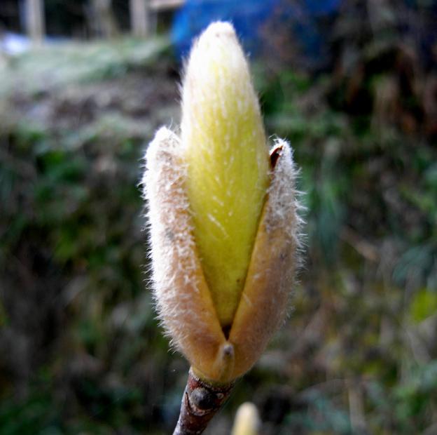 a0102098_813276.jpg