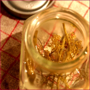 c0053898_2041587.jpg