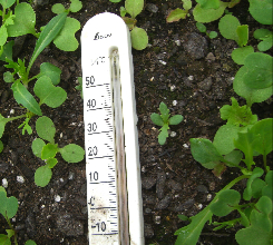 c0151898_1110252.jpg