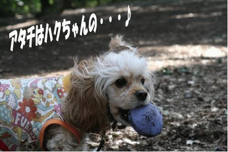 c0128303_1911586.gif