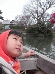ひなまつり_b0078006_1016588.jpg