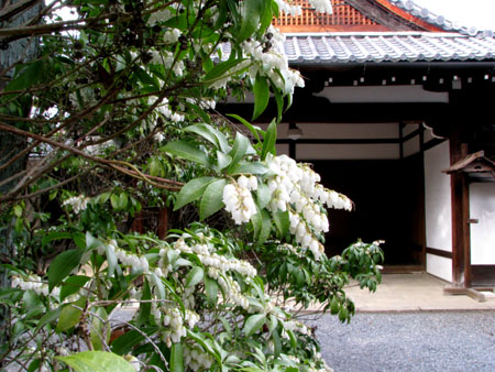 真如堂 涅槃図_e0048413_22424194.jpg