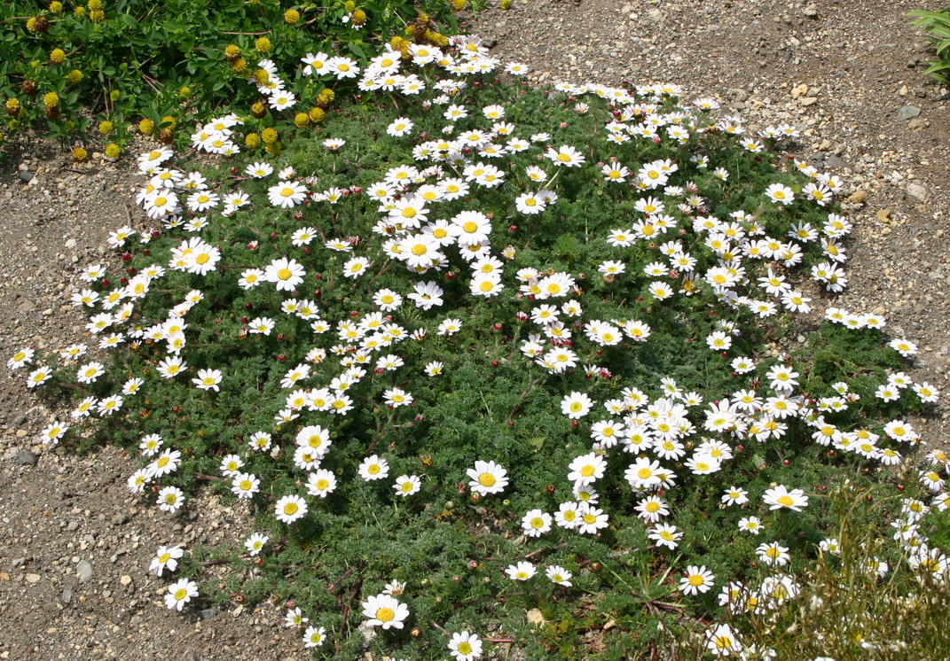d0143719_1094577.jpg
