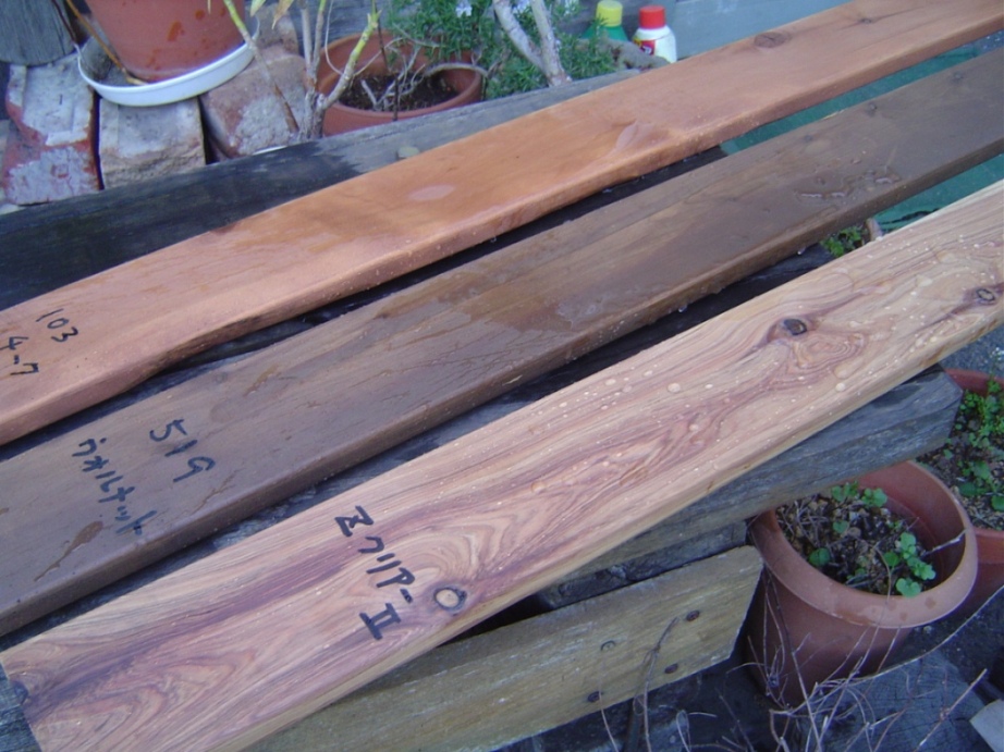 c0037422_11422683.jpg