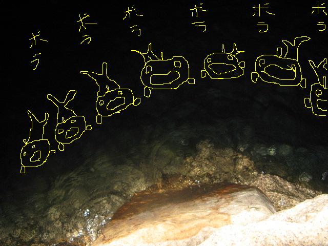 c0168626_2039854.jpg