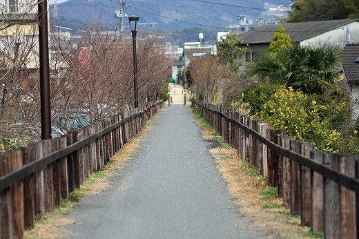 春の風の道　阿津地区_d0029333_18214321.jpg