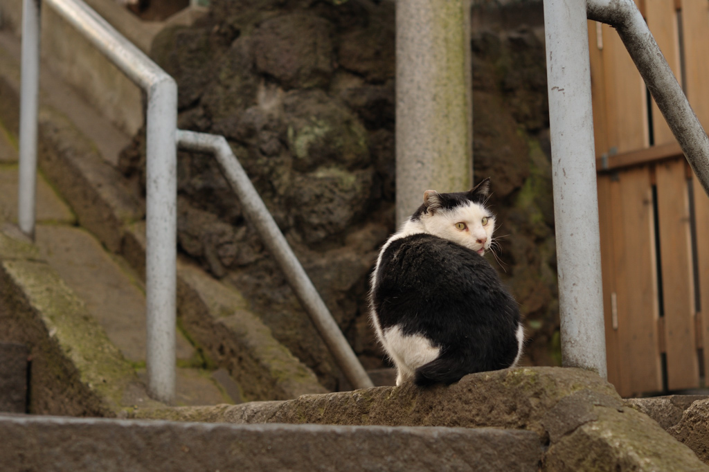 ちぃちゃいおっちゃん_c0150334_101468.jpg