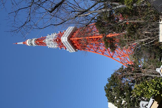 江鷹会東京二区遅がけの新年会　北川智一_b0012636_14274314.jpg