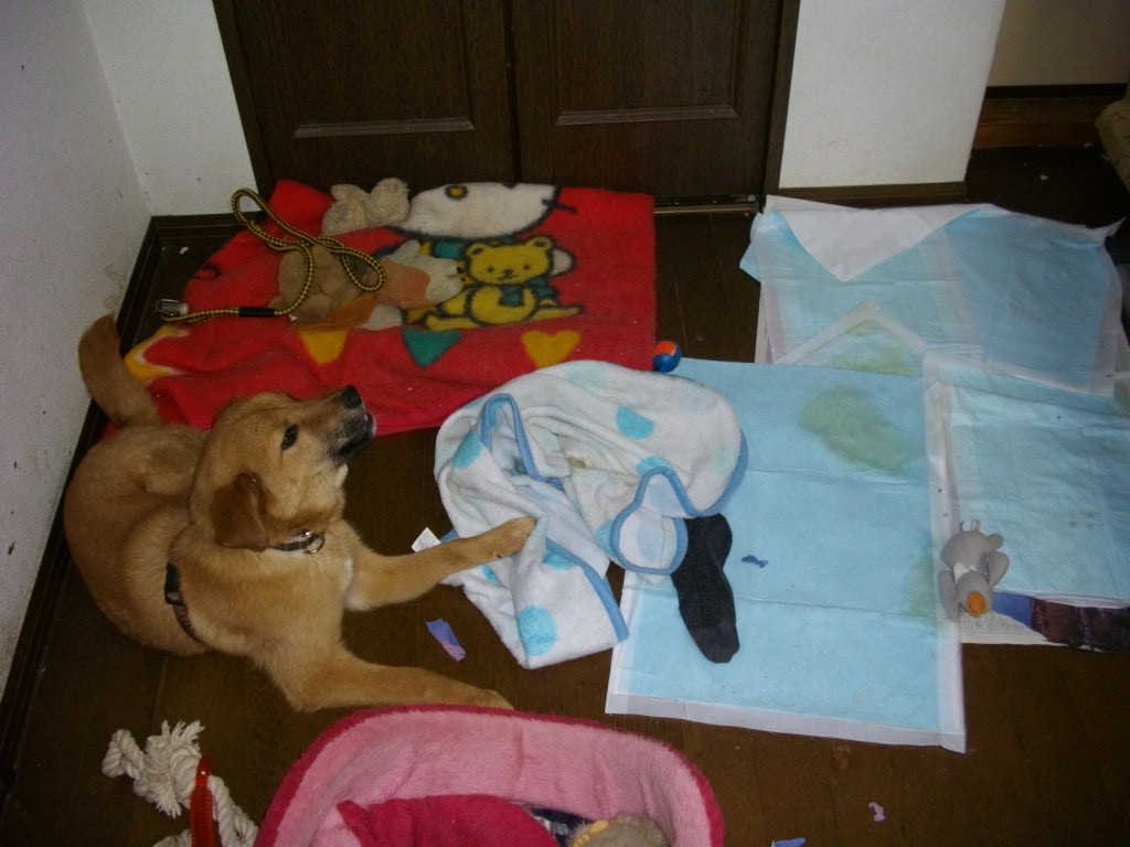 e0123136_17493198.jpg