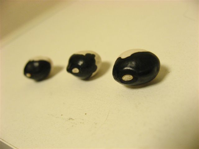 c0197248_2023767.jpg