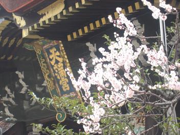 鼻も日記もぐちゃぐちゃ?_c0049950_13264230.jpg