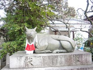鼻も日記もぐちゃぐちゃ?_c0049950_14543726.jpg