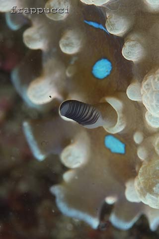 d0056263_15027.jpg