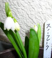 f0139963_71198.jpg