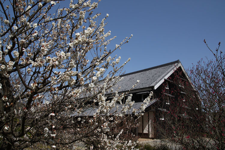 c0054876_17351156.jpg