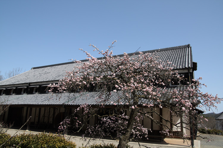 c0054876_17352965.jpg
