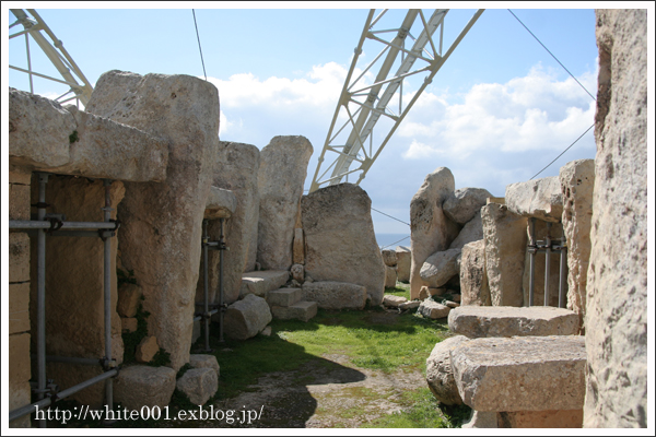 マルタ島の猫　 ～旅行記⑥　ハジャーイム神殿とバレッタ～_e0027083_1715969.jpg