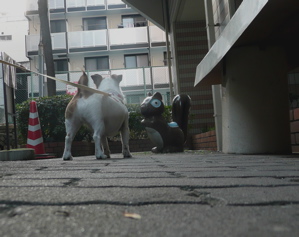 f0146198_22491665.jpg