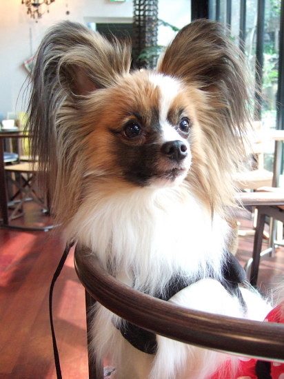 c0044199_22261010.jpg
