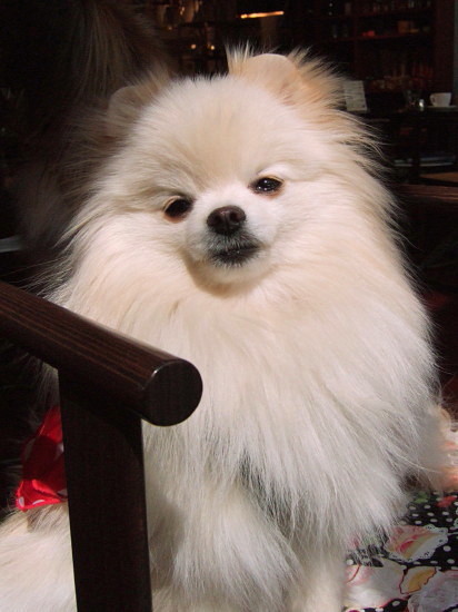 c0044199_22265052.jpg