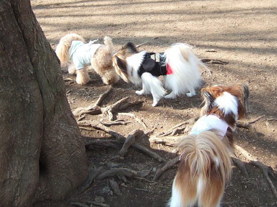 c0044199_2251468.jpg