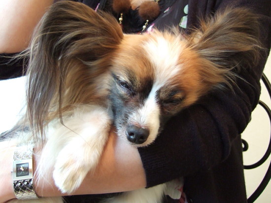 c0044199_23292690.jpg