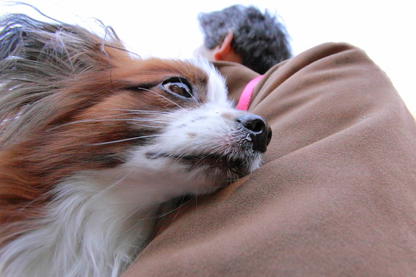 c0044199_23445845.jpg