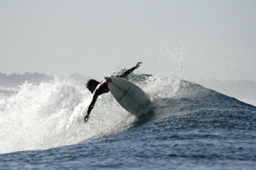 TENDAY MENTAWAI 2009 #5_e0104703_511627.jpg