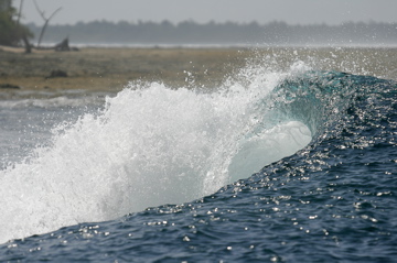 TENDAY MENTAWAI 2009 #5_e0104703_601648.jpg