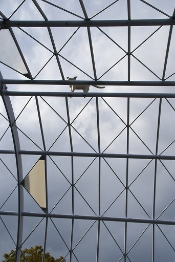 e0062207_21463637.jpg