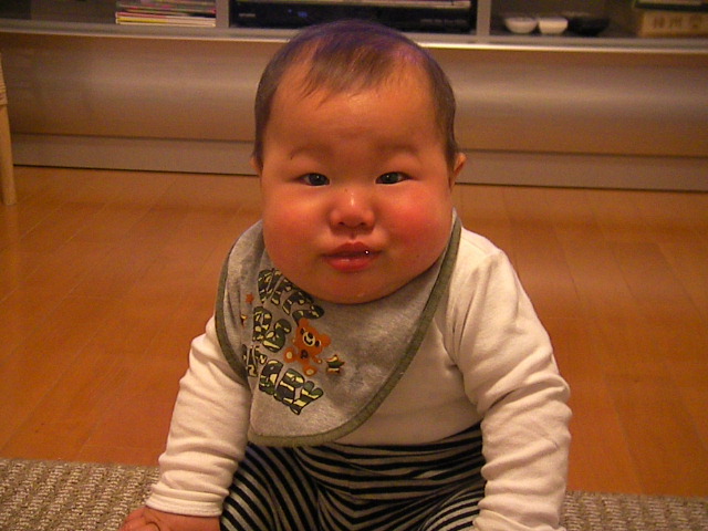 f0038407_1053566.jpg