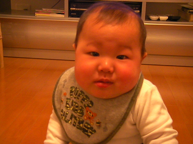 f0038407_1062088.jpg