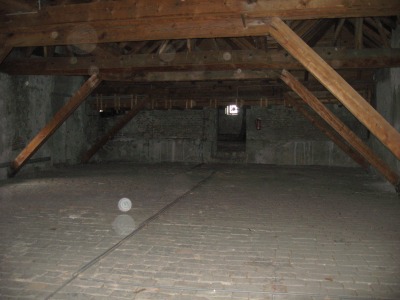 c0167813_833537.jpg
