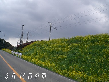 b0141916_20573082.jpg