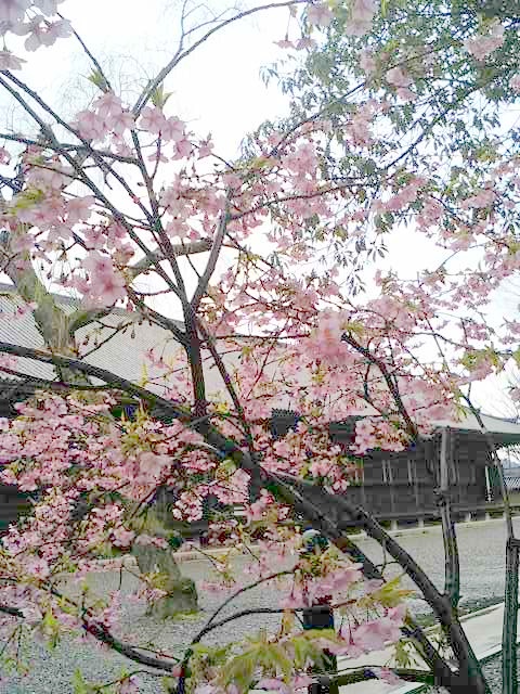 a0048918_8455656.jpg