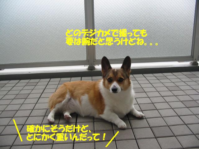 f0182121_14104714.jpg